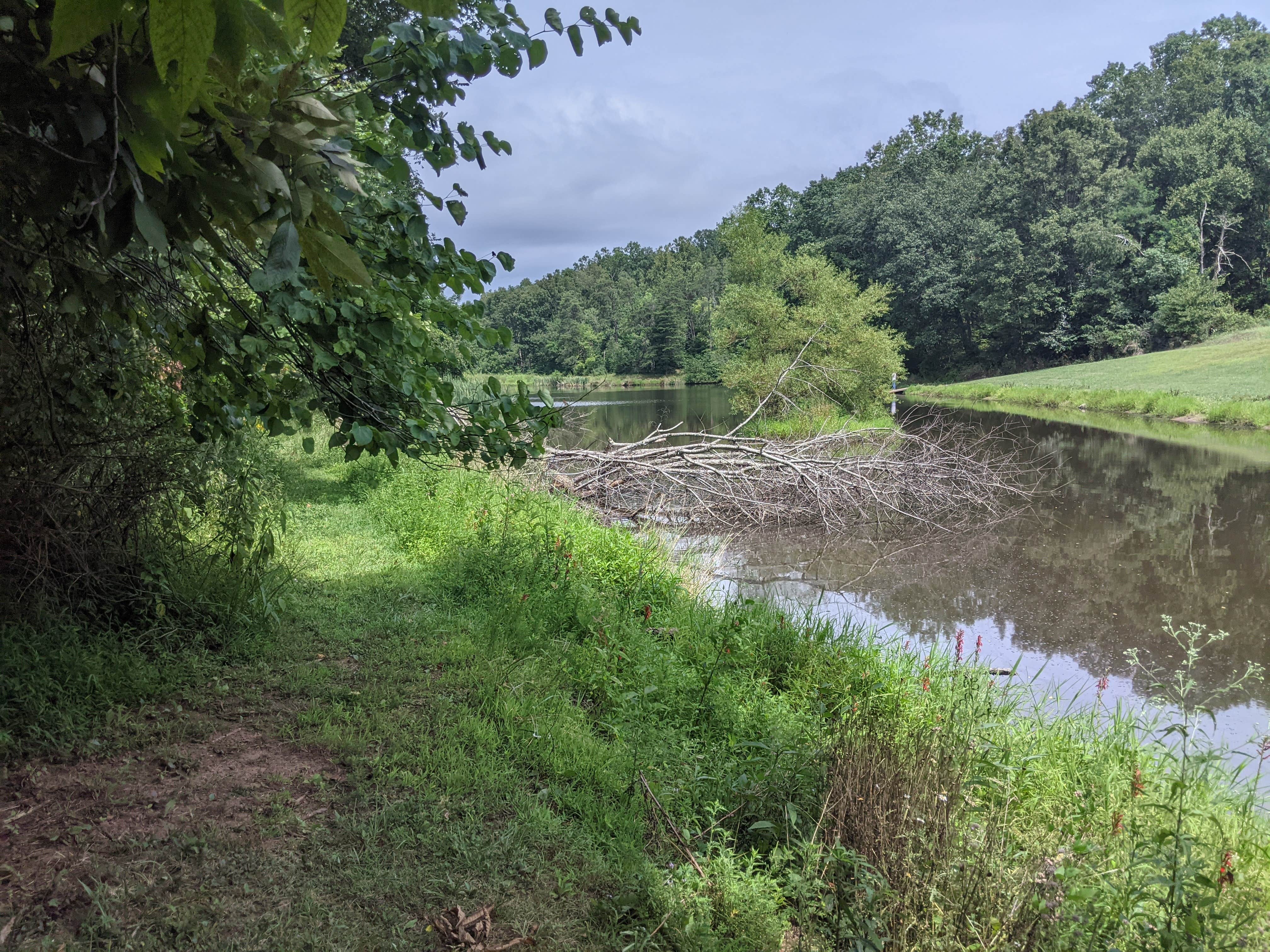 Camper-submitted photo at Chief Cornstalk Wildlife Management Area near Letart, WV