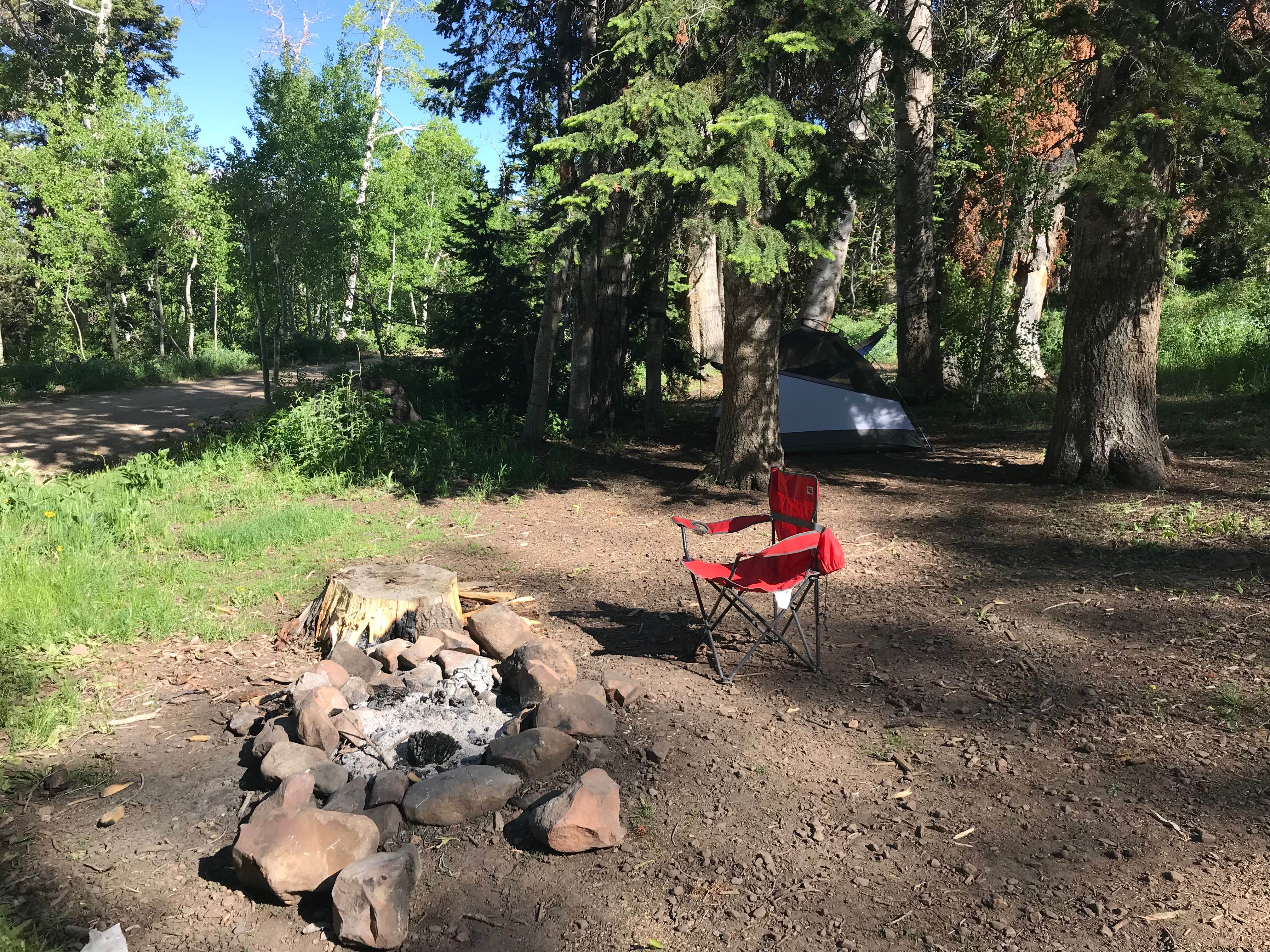 Camper-submitted photo at Dispersed Camping Willow Spring (Wasatch) near Wallsburg, UT