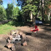 Review photo of Dispersed Camping Willow Spring (Wasatch) by Jenny R., June 21, 2018