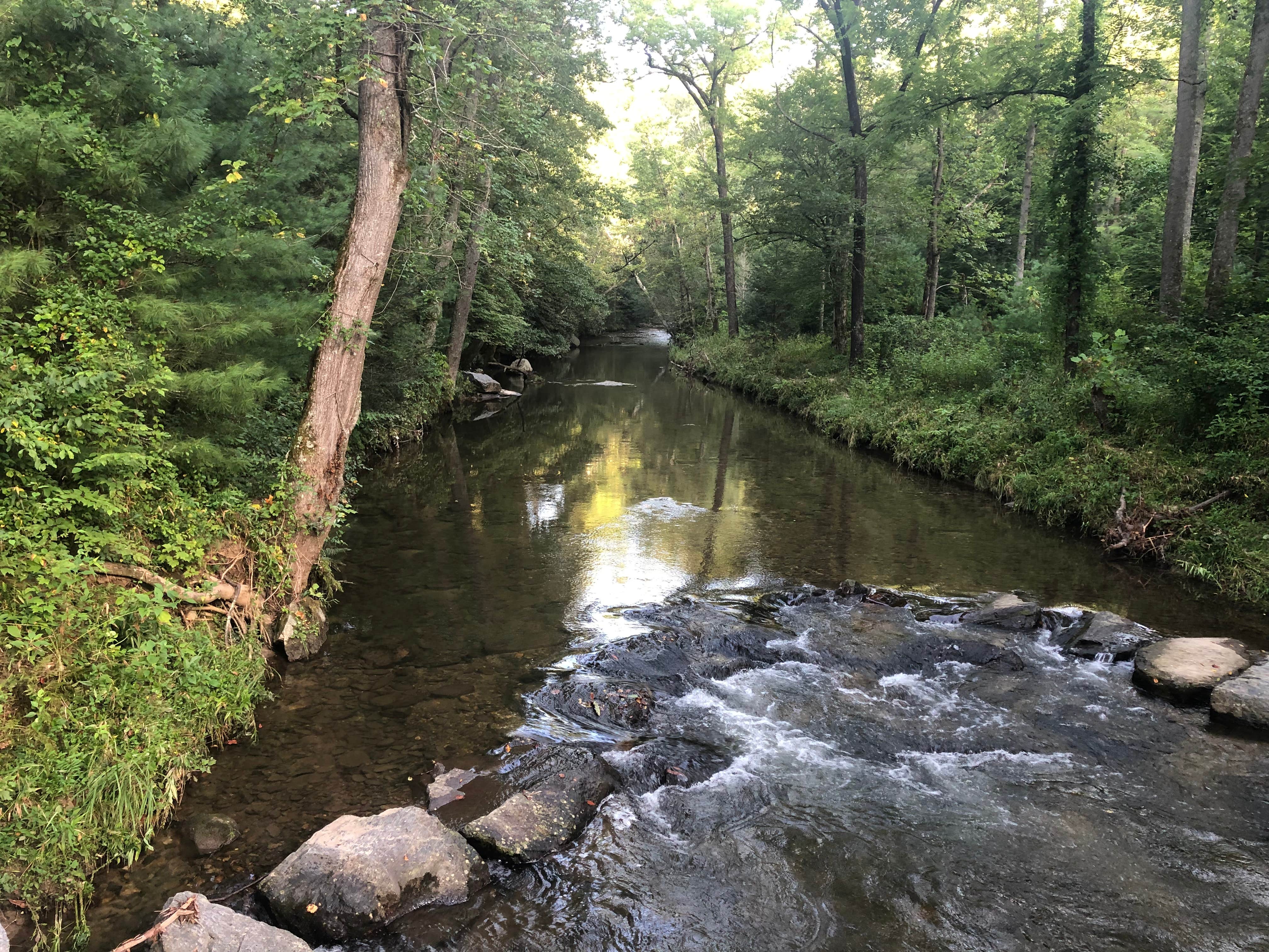 Best drivein camping near Kibler Valley, Virginia The Dyrt