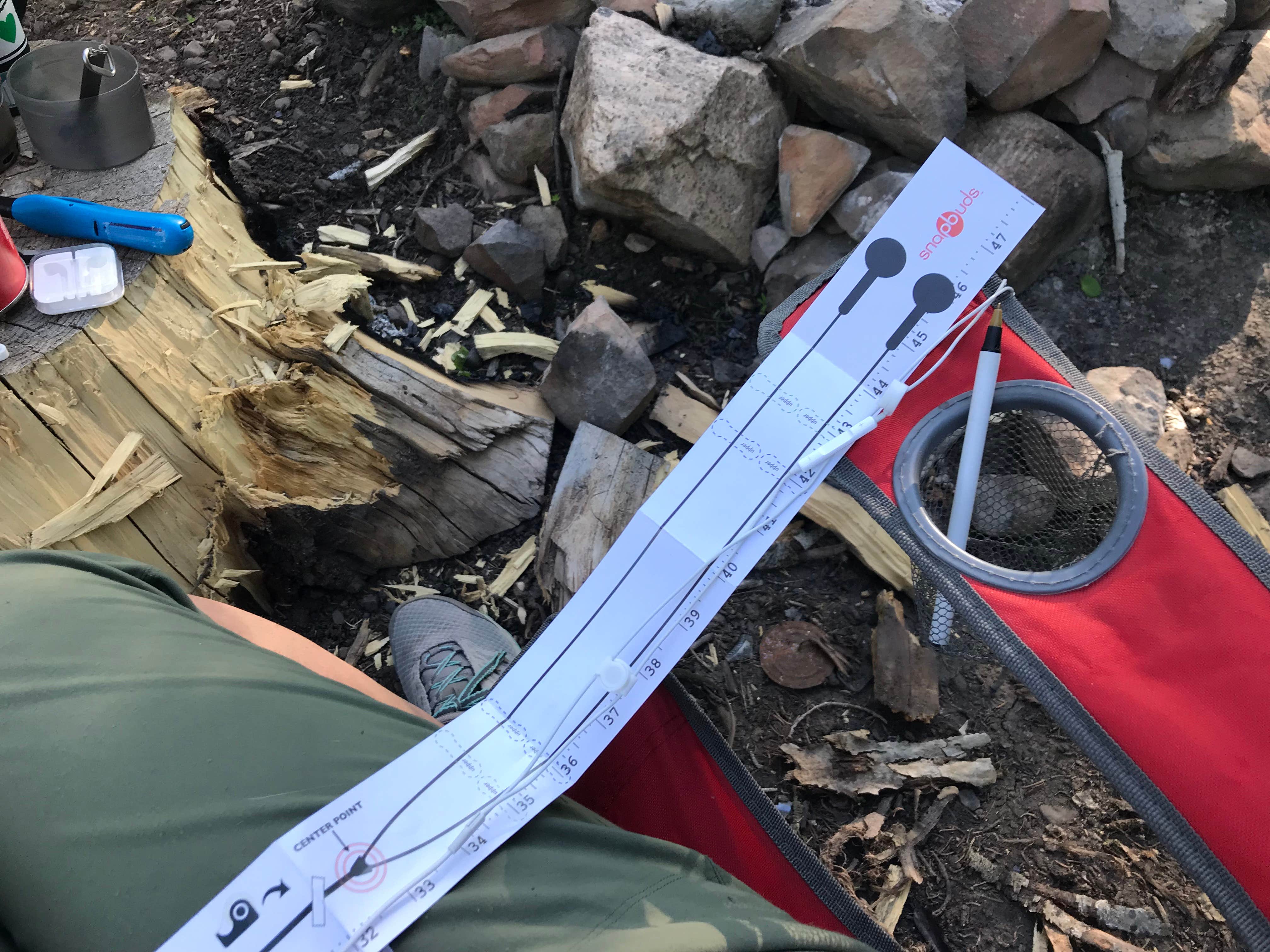 Camper-submitted photo at Dispersed Camping Willow Spring (Wasatch) near Wallsburg, UT