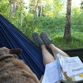 Review photo of Dispersed Camping Willow Spring (Wasatch) by Jenny R., June 21, 2018