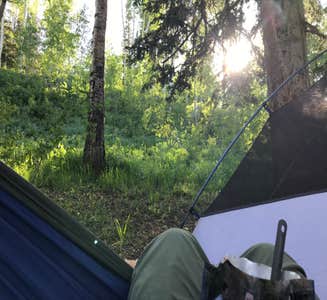 Camper-submitted photo from Dispersed Camping Willow Spring (Wasatch)