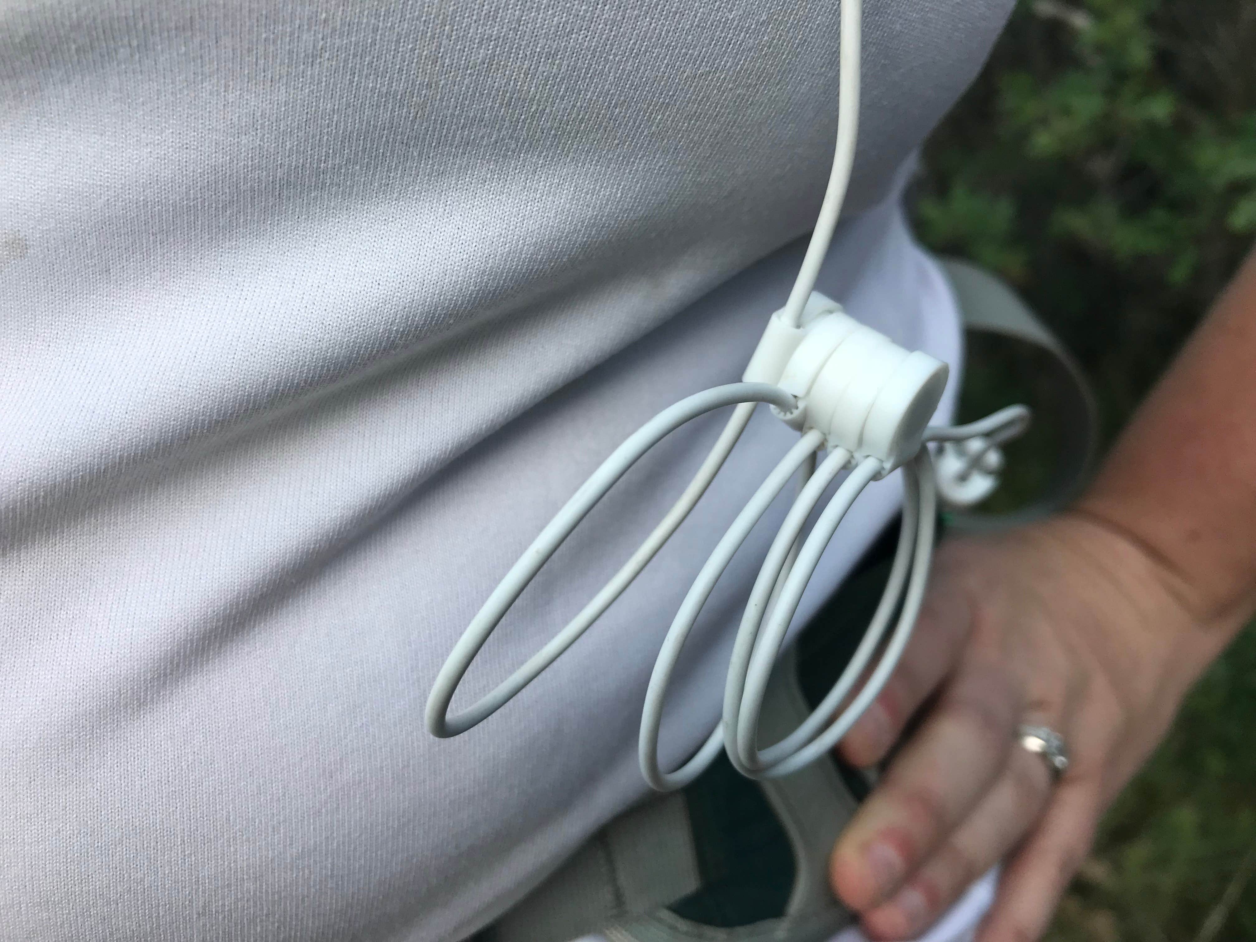 Camper-submitted photo at Dispersed Camping Willow Spring (Wasatch) near Wallsburg, UT