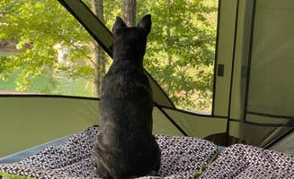 Brett D.'s photo of camping with pets at Toto Creek Campground near Cumming, GA