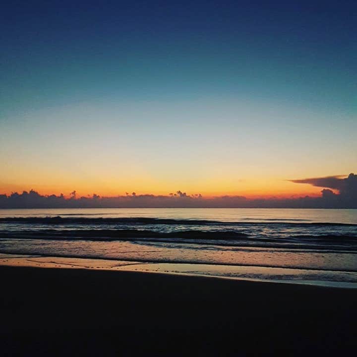 Andrea F.'s photo of a dispersed camping area at North Beach — Padre Island National Seashore near Chapman Ranch, TX