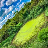 Review photo of Greer Hill - Mineola Nature Preserve Campground C by Andrew A., August 29, 2021