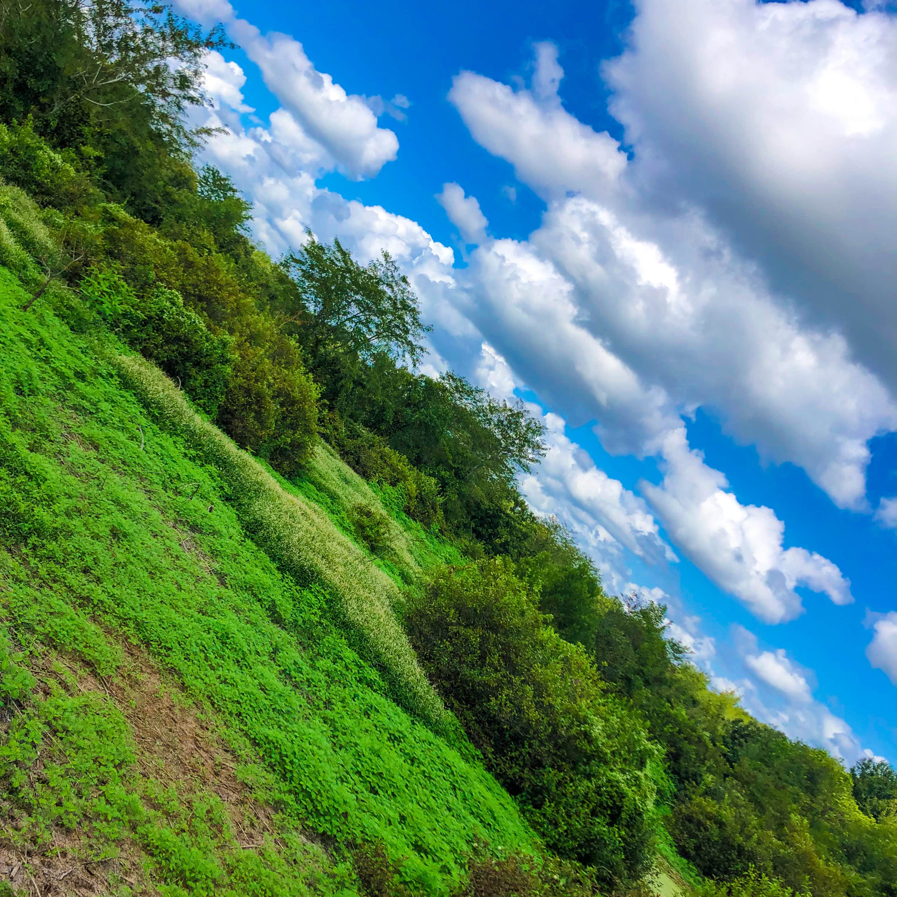 Camper-submitted photo at Greer Hill - Mineola Nature Preserve Campground C near Flint, TX