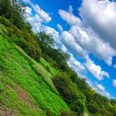 Review photo of Greer Hill - Mineola Nature Preserve Campground C by Andrew A., August 29, 2021