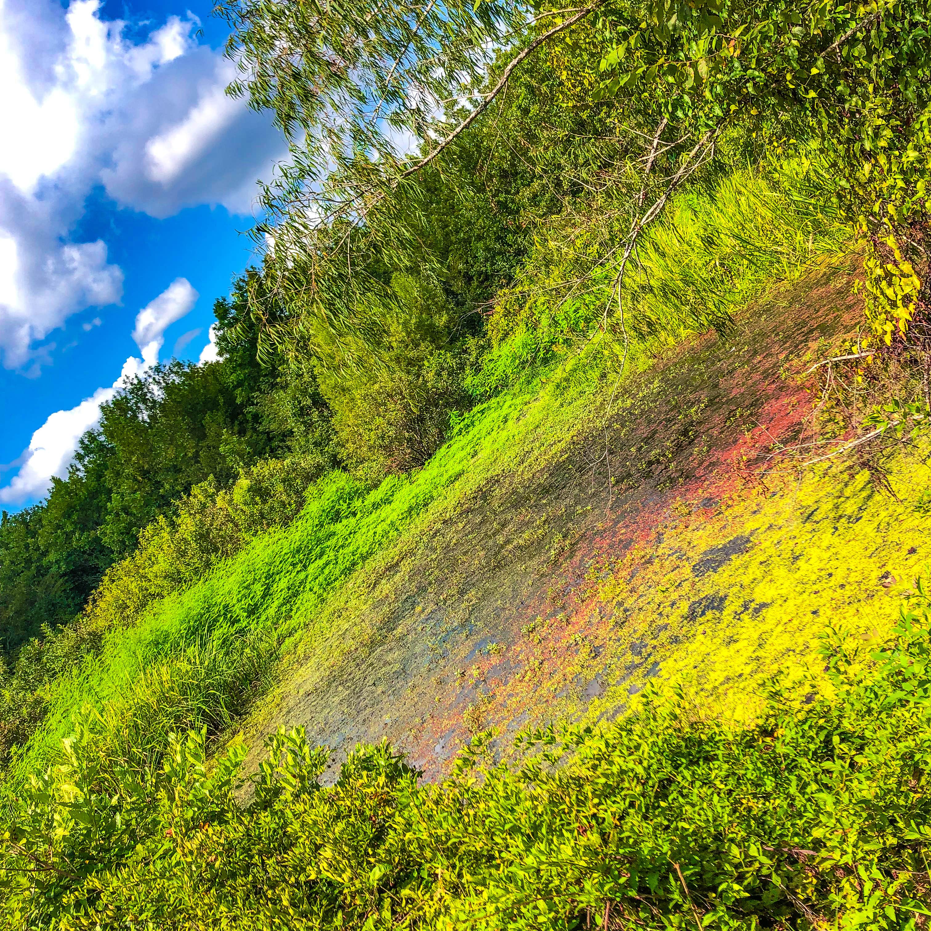 Camper-submitted photo at Greer Hill - Mineola Nature Preserve Campground C near Flint, TX