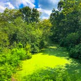 Review photo of Greer Hill - Mineola Nature Preserve Campground C by Andrew A., August 29, 2021