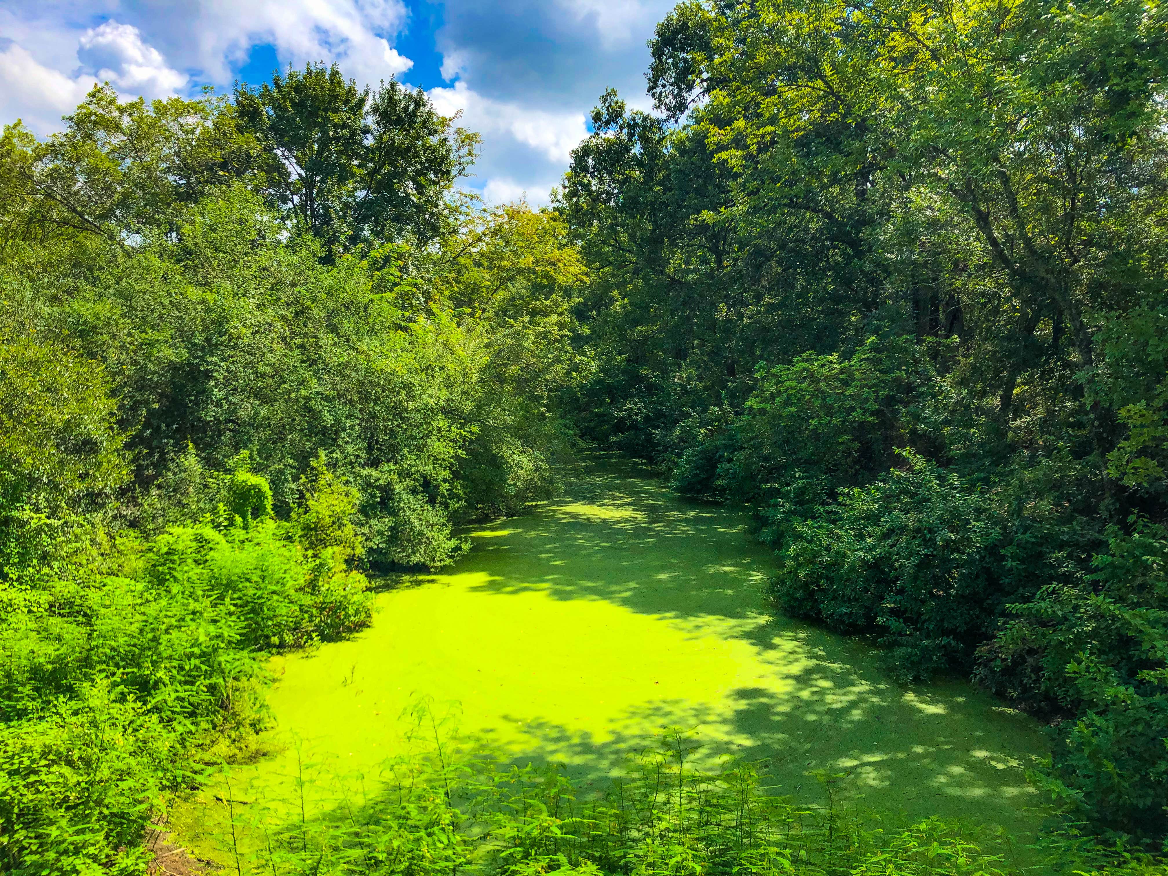 Camper submitted image from Greer Hill - Mineola Nature Preserve Campground C - 3