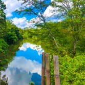 Review photo of Greer Hill - Mineola Nature Preserve Campground C by Andrew A., August 29, 2021