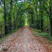 Review photo of Greer Hill - Mineola Nature Preserve Campground C by Andrew A., August 29, 2021