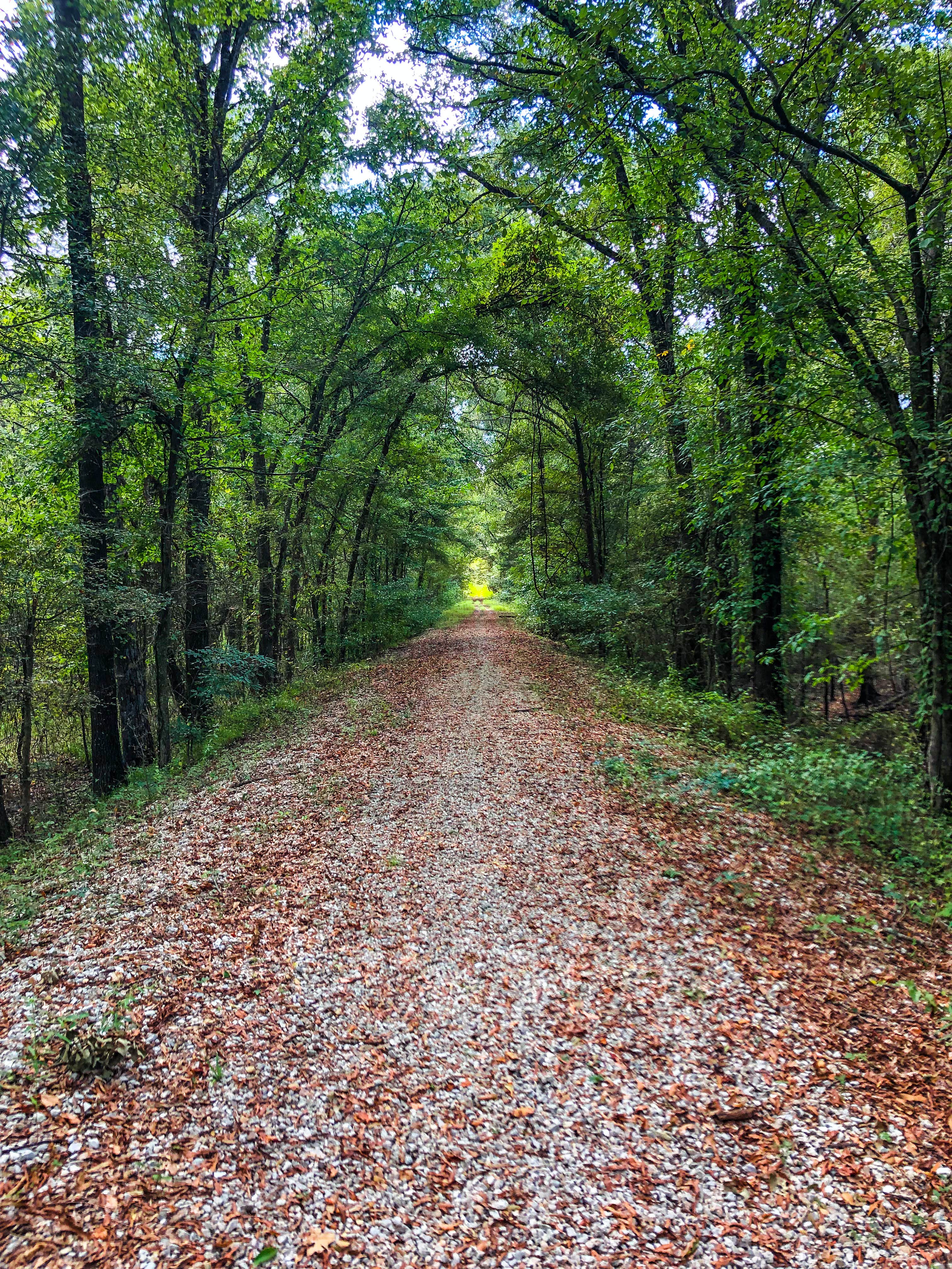 Camper submitted image from Greer Hill - Mineola Nature Preserve Campground C - 4