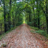 Review photo of Greer Hill - Mineola Nature Preserve Campground C by Andrew A., August 29, 2021
