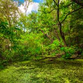 Review photo of Greer Hill - Mineola Nature Preserve Campground C by Andrew A., August 29, 2021