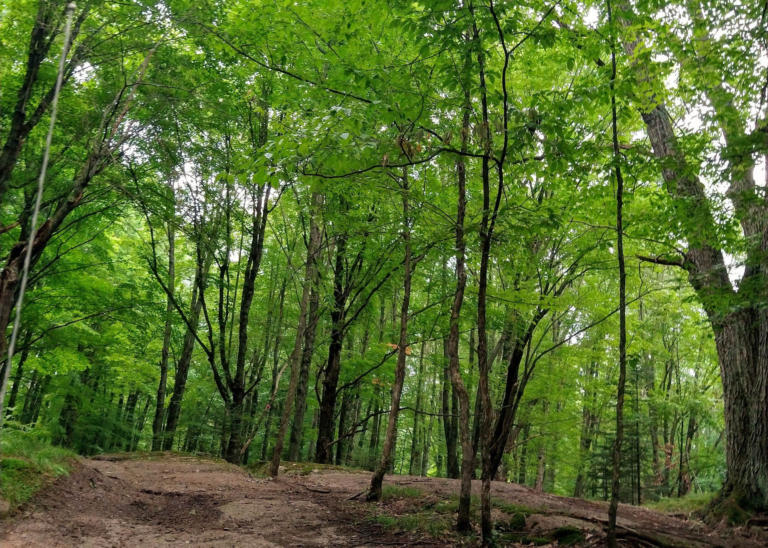 Tigerton OHV Park Camping The Dyrt