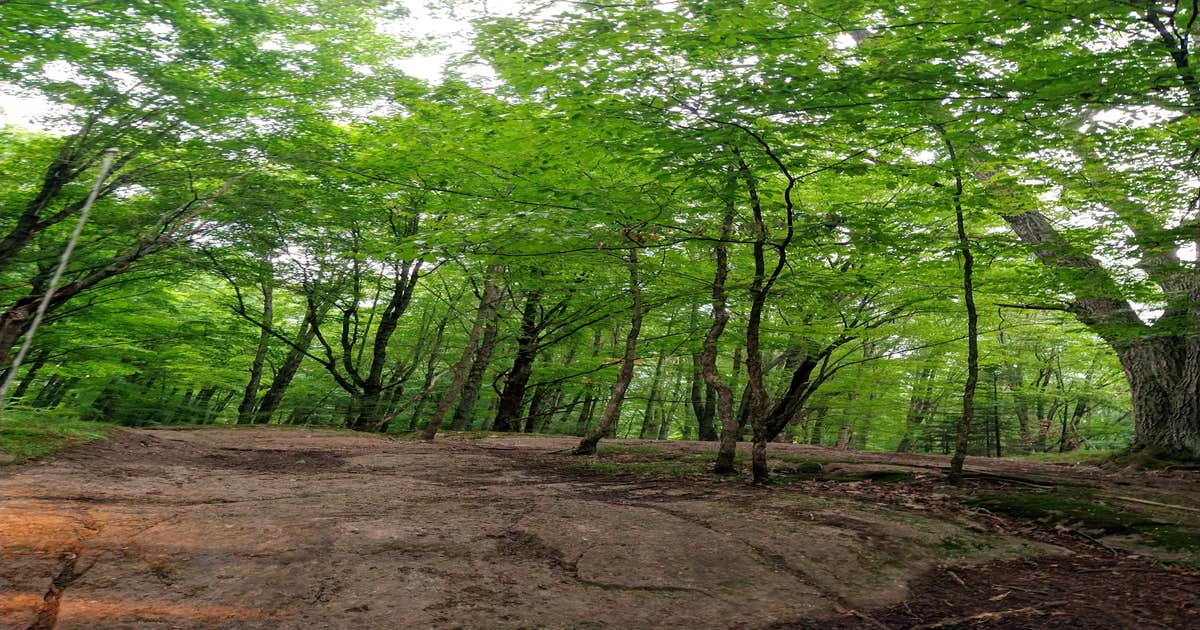 Tigerton OHV Park Camping Marion, WI