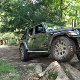 Review photo of Tigerton OHV Park by DeAnn M., August 29, 2021