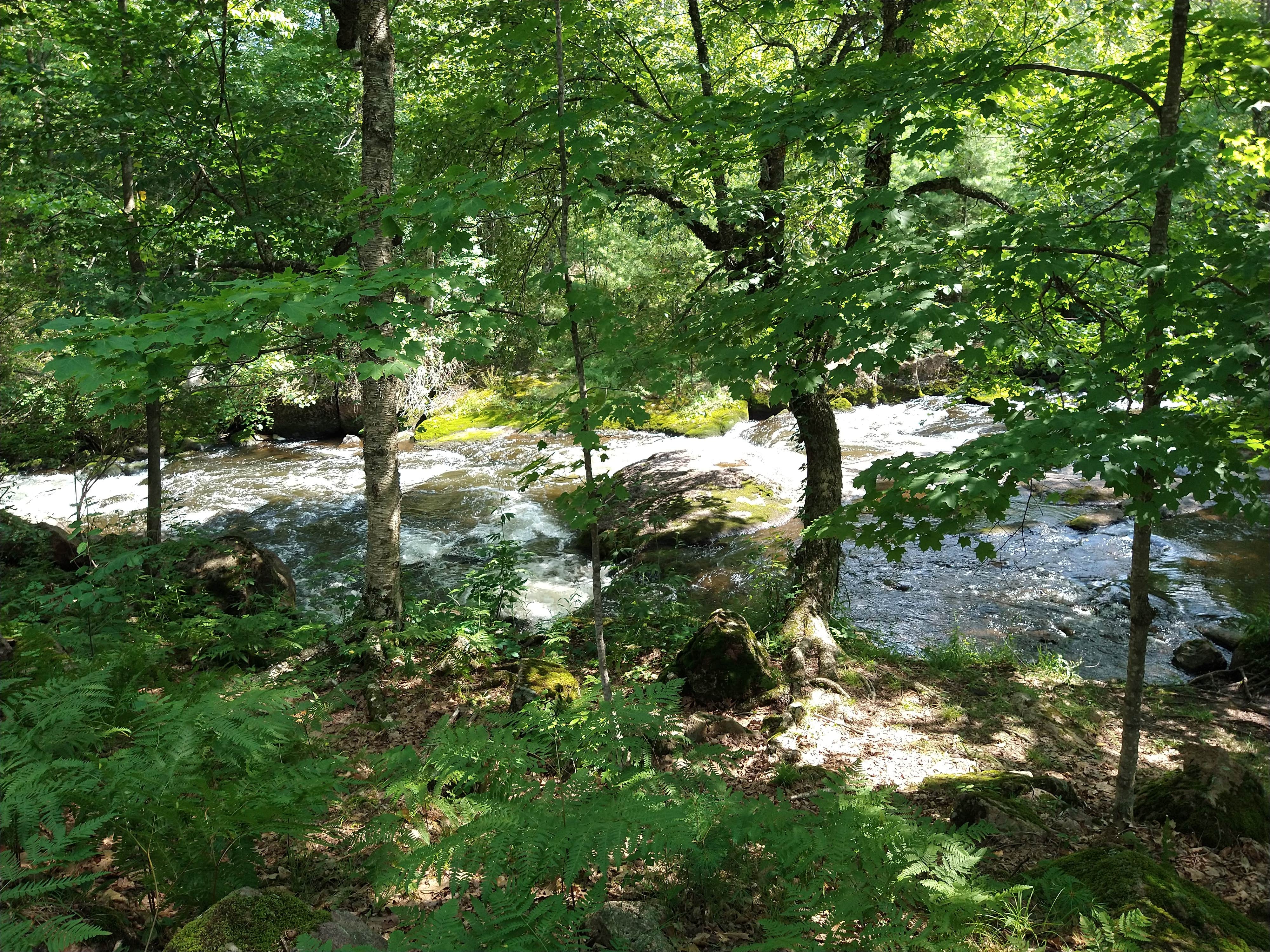 Camper-submitted photo at Tigerton OHV Park near Marion, WI