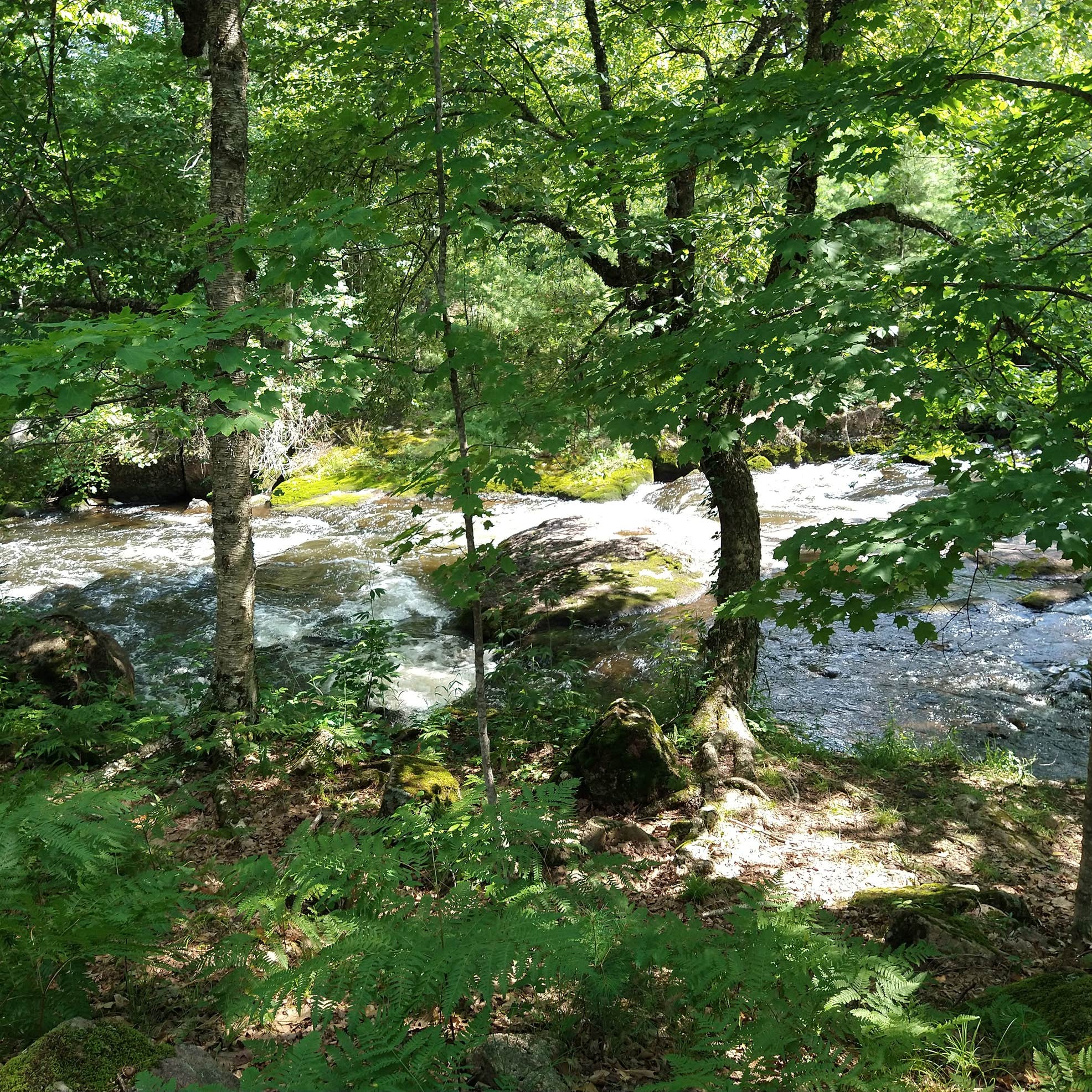 Tigerton OHV Park Camping The Dyrt