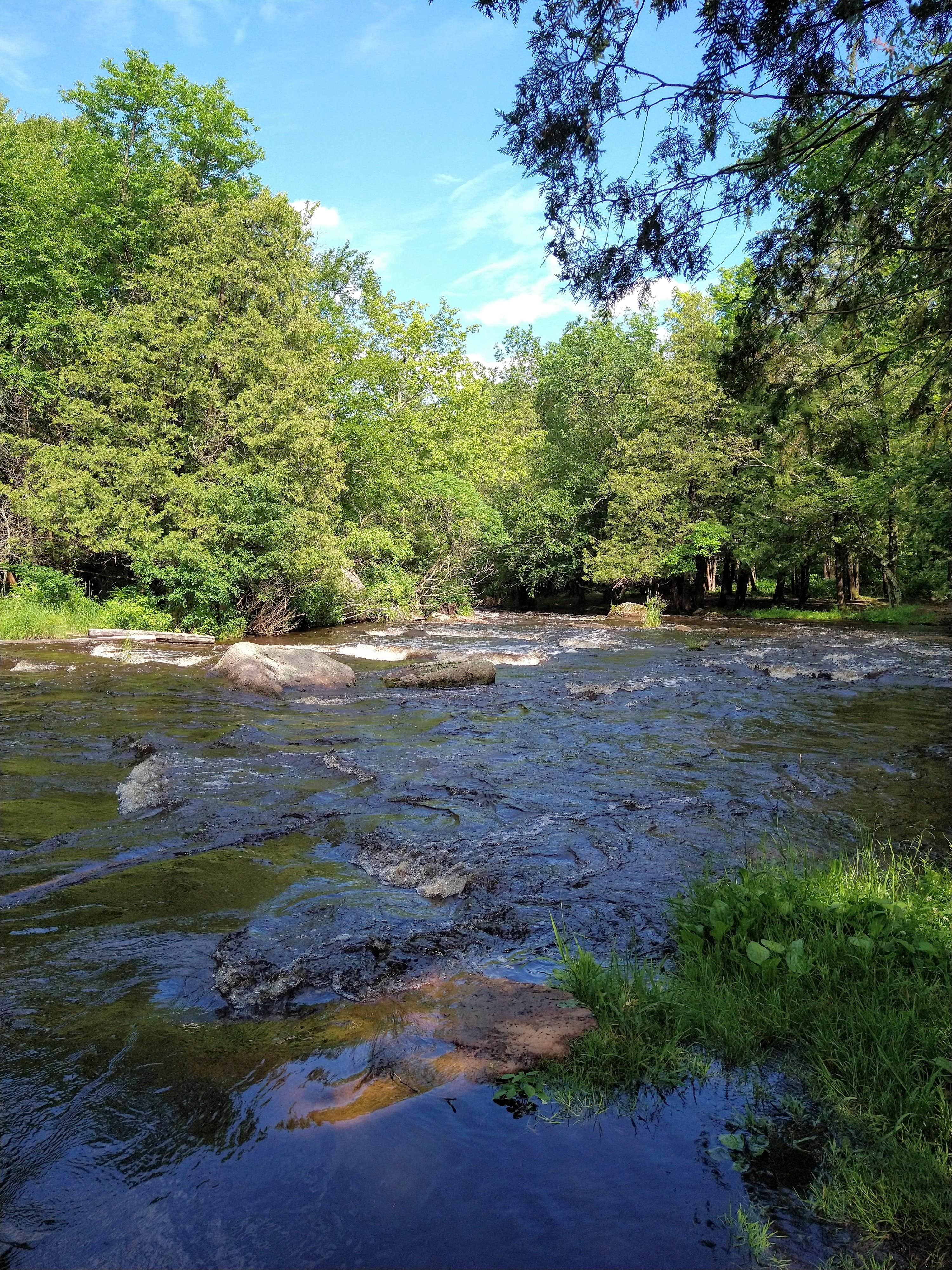 Camper submitted image from Tigerton OHV Park - 2