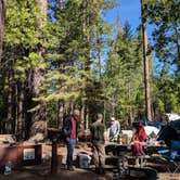 Review photo of Hodgdon Meadow Campground — Yosemite National Park by Ian D., June 21, 2018