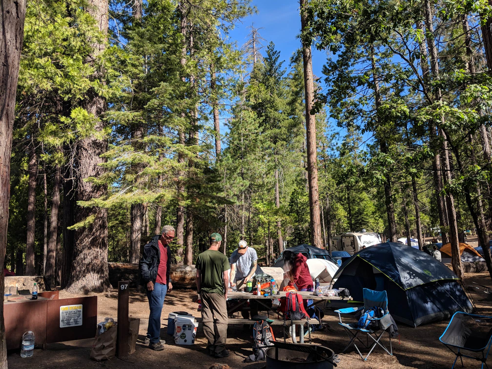 Camper submitted image from Hodgdon Meadow Campground — Yosemite National Park - 4