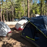 Review photo of Hodgdon Meadow Campground — Yosemite National Park by Ian D., June 21, 2018