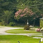 Review photo of Stone Mountain Heights RV & Mobile Home Park - PERMANENTLY CLOSED by Milagros B., August 29, 2021