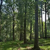 Review photo of Harpers Ferry Campground - River Riders by Kasumi , August 29, 2021