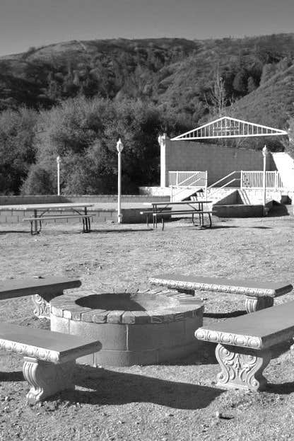 Camper submitted image from Camping @ Quail Run Ostrich Ranch - 3