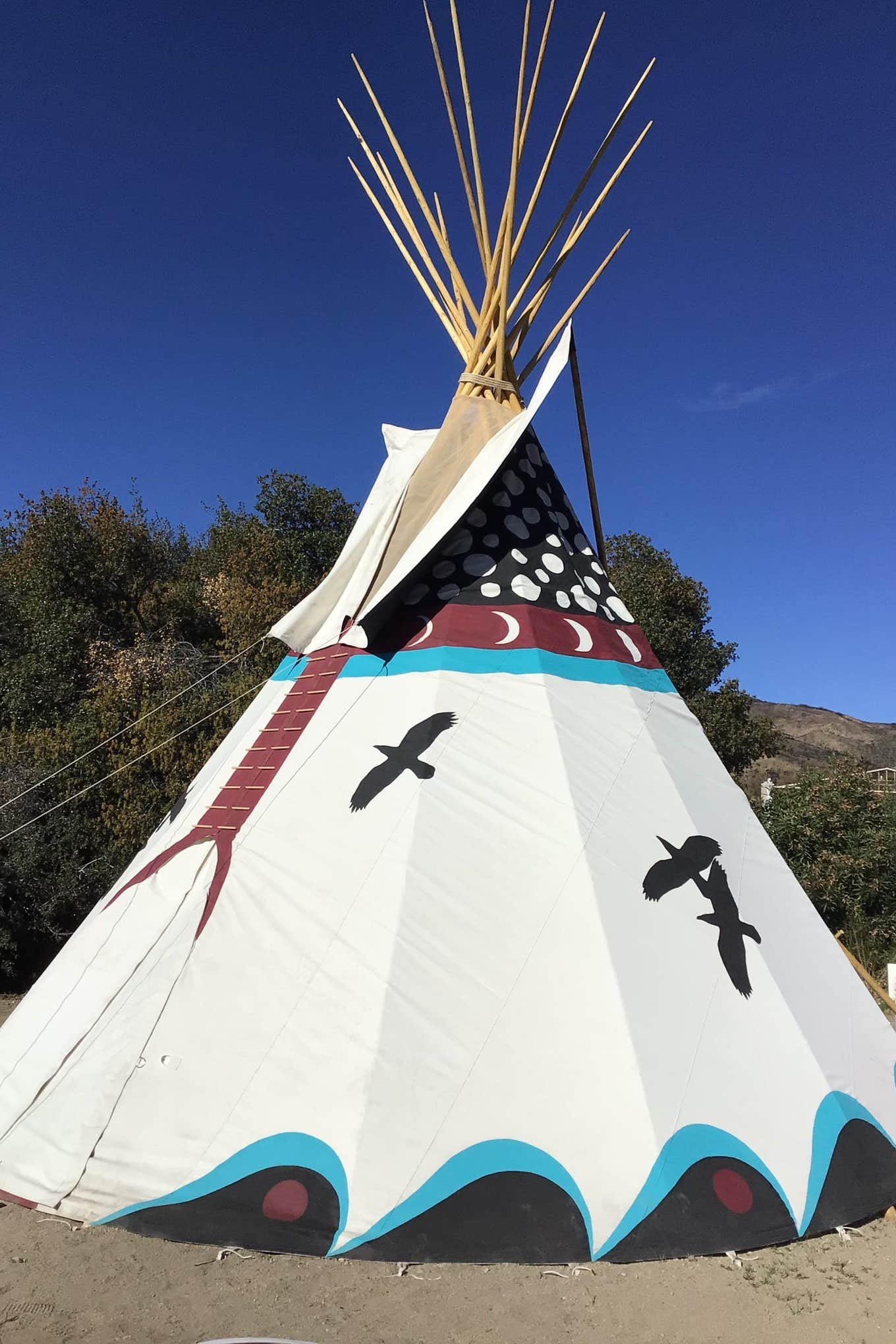 Quail R.'s photo at Camping @ Quail Run Ostrich Ranch near Santa Clarita, CA