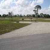 Review photo of Pine Grove Campground — Jonathan Dickinson State Park by Shannon K., June 21, 2018