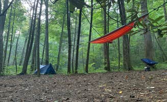 Ashley N.'s photo at Three Forks Campground near Chattahoochee-Oconee National Forest