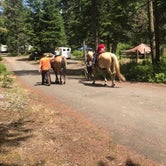 Review photo of Kalama Horse Camp Campground by Mari R., August 30, 2021