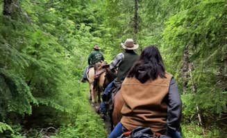 Mari R.'s photo of camping with a horse at Kalama Horse Camp — Gifford Pinchot National Forest near Packwood, WA