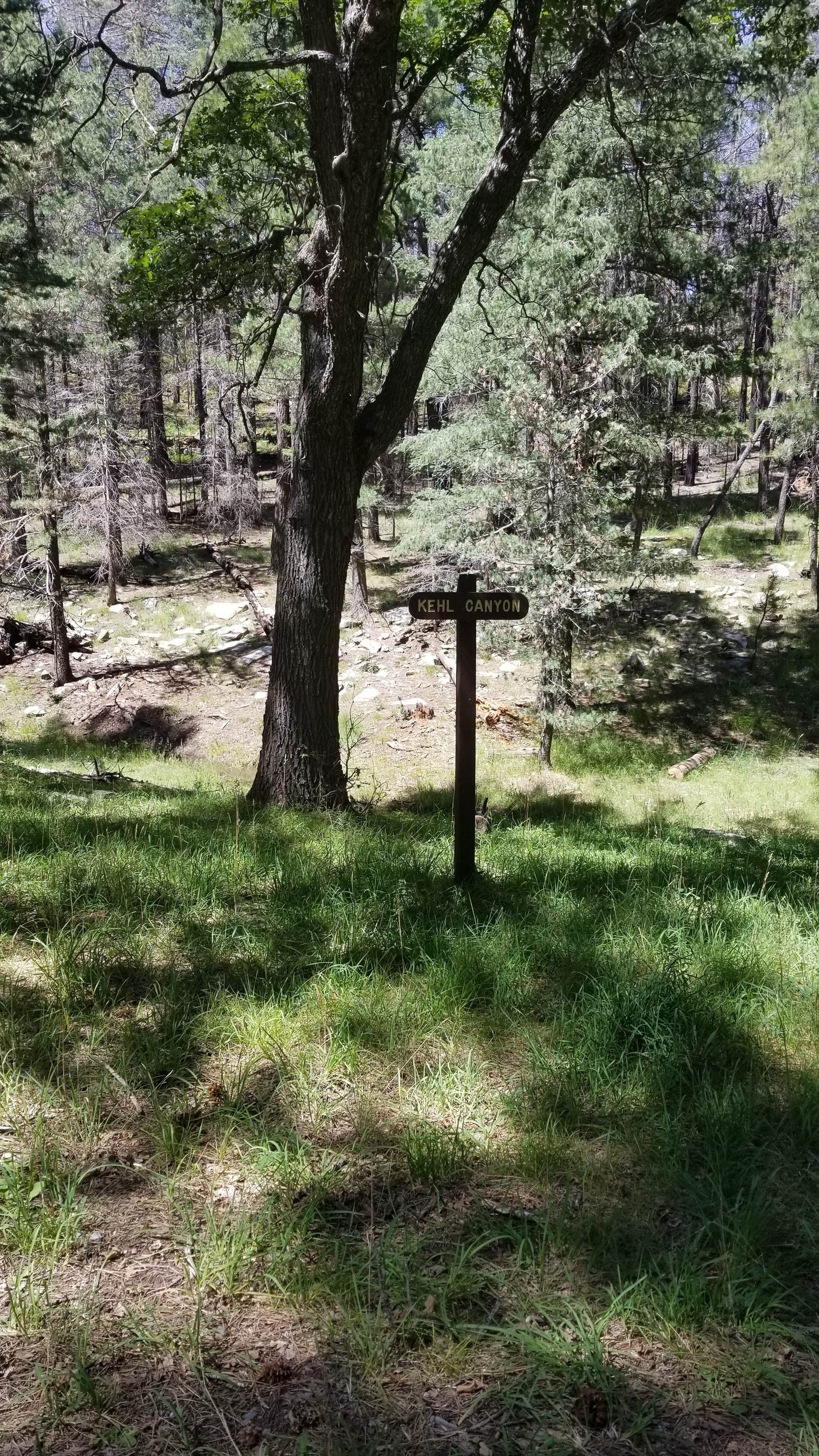 Camper-submitted photo at Kehl Springs Campground near Strawberry, AZ