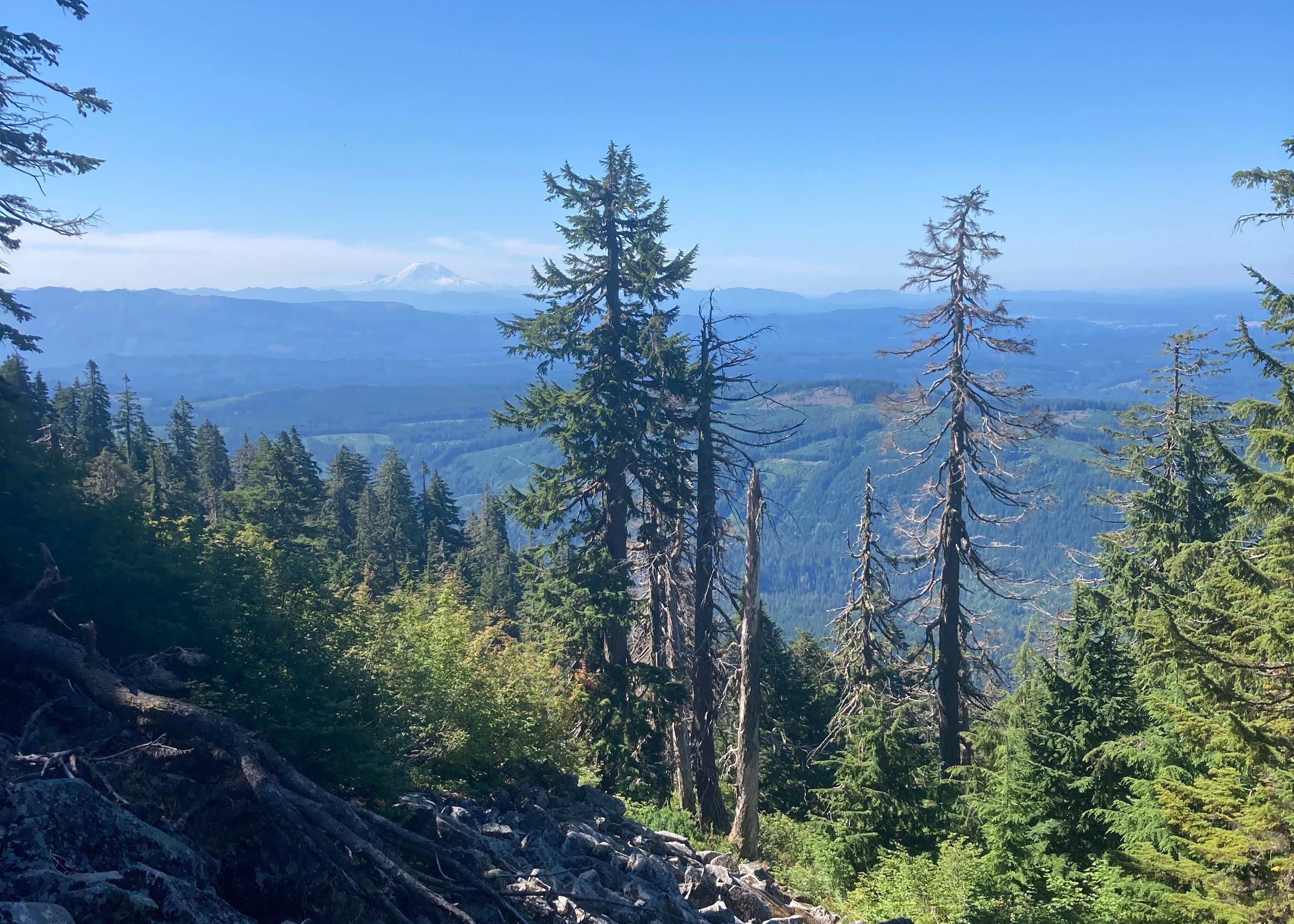 Monte Cristo Campground Camping The Dyrt