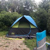 Review photo of Hermit Island Campground by cindy , August 30, 2021