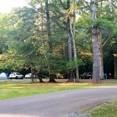 Review photo of Babcock State Park Campground by Katrin M., August 30, 2021