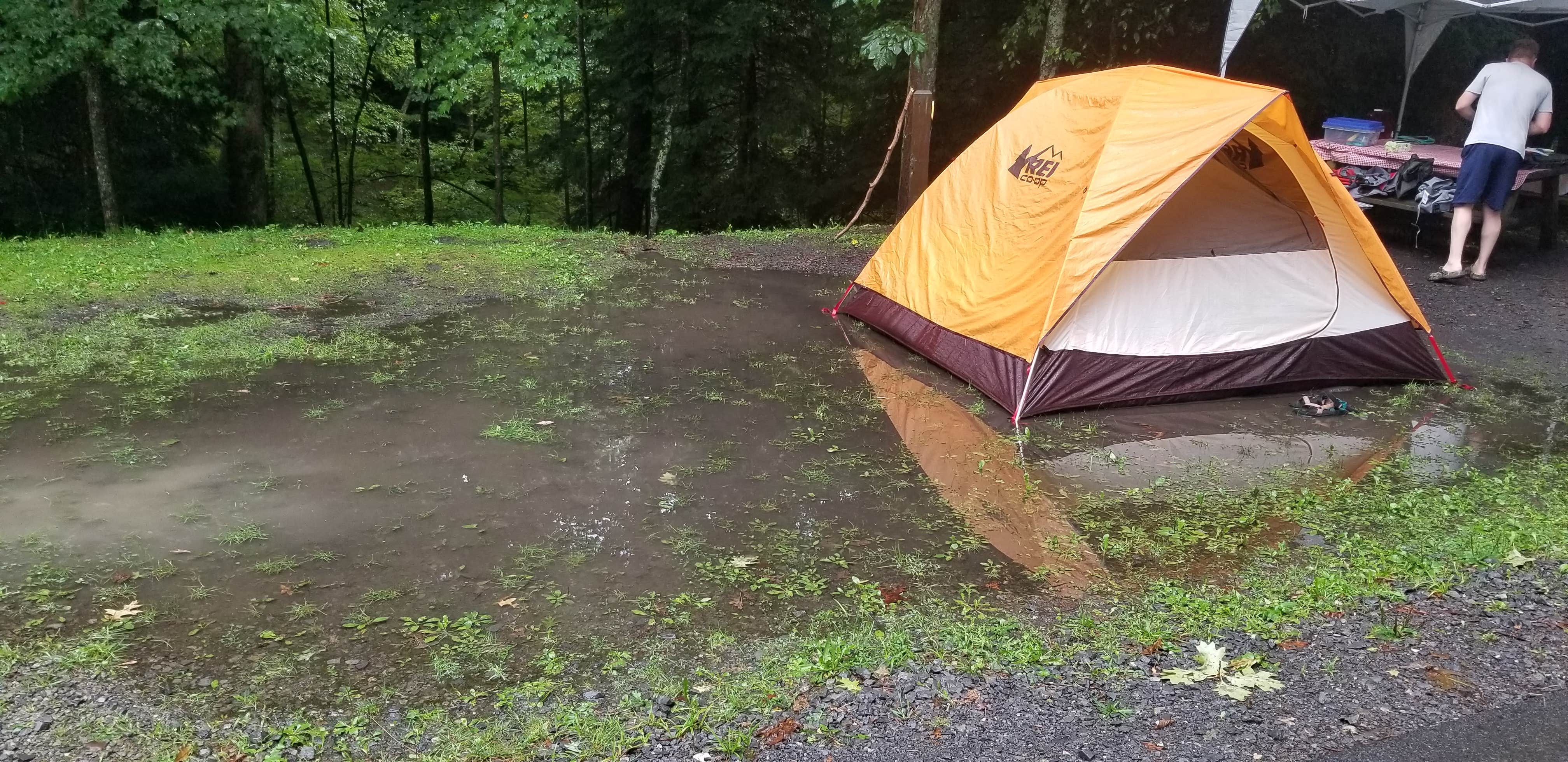 Katrin M.'s photo at Babcock State Park Campground near Lookout, WV