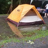 Review photo of Babcock State Park Campground by Katrin M., August 30, 2021