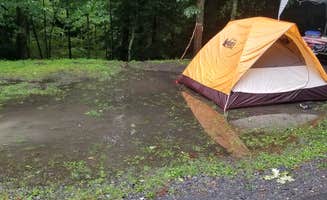 Katrin M.'s photo at Babcock State Park Campground near Meadow Creek, WV
