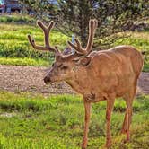 Review photo of Cripple Creek Hospitality House & Travel Park by John L., August 30, 2021