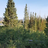 Review photo of Manti-LaSal National Forest Potters Pond Campground by Steven M., August 30, 2021