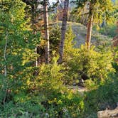 Review photo of Manti-LaSal National Forest Potters Pond Campground by Steven M., August 30, 2021