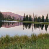 Review photo of Manti-LaSal National Forest Potters Pond Campground by Steven M., August 30, 2021