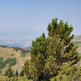 Review photo of Manti-LaSal National Forest Potters Pond Campground by Steven M., August 30, 2021